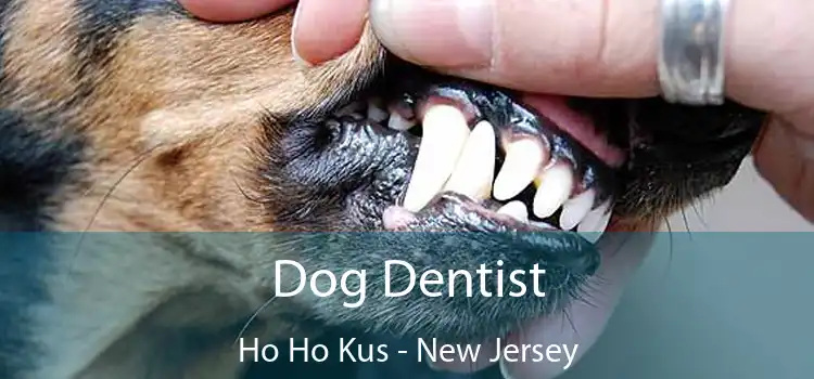 Dog Dentist Ho Ho Kus - New Jersey