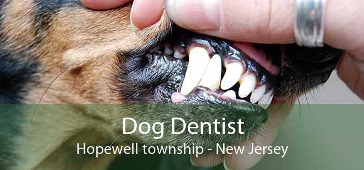 Dog Dentist Hopewell township - New Jersey