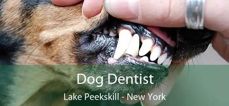 Dog Dentist Lake Peekskill - New York