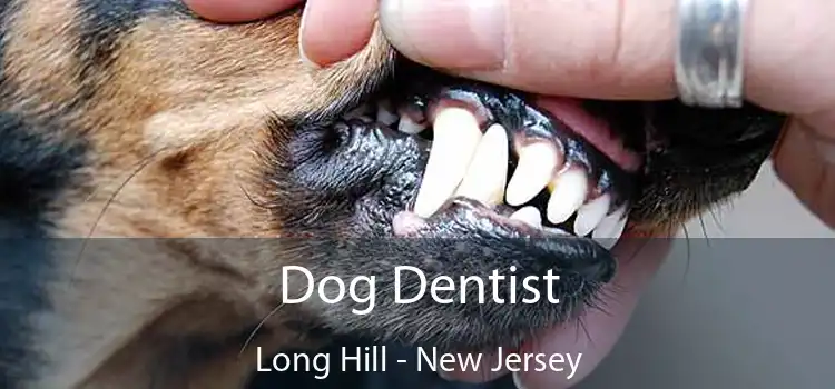 Dog Dentist Long Hill - New Jersey