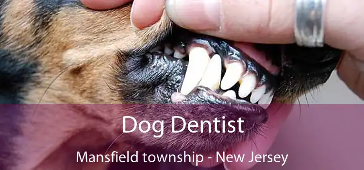 Dog Dentist Mansfield township - New Jersey