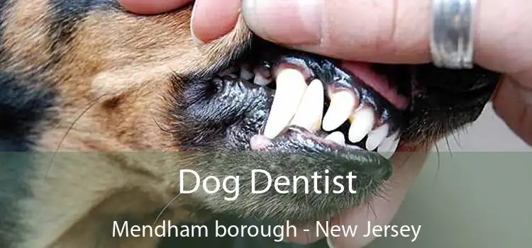 Dog Dentist Mendham borough - New Jersey