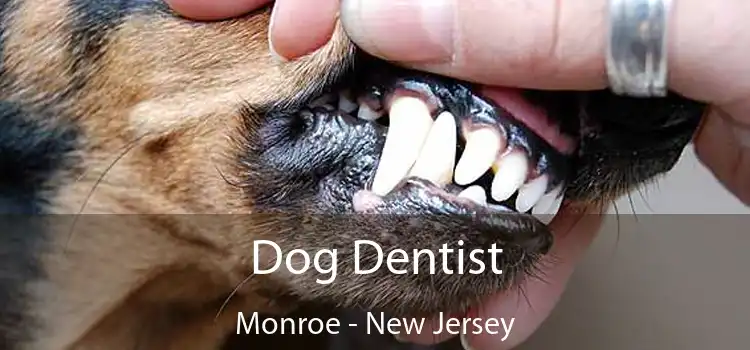 Dog Dentist Monroe - New Jersey