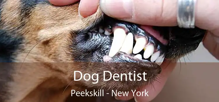 Dog Dentist Peekskill - New York