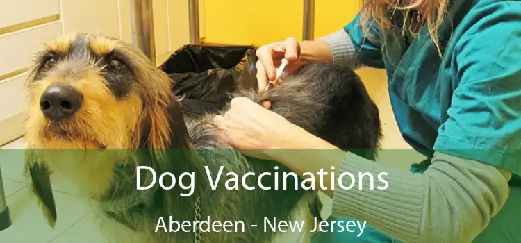 Dog Vaccinations Aberdeen - New Jersey