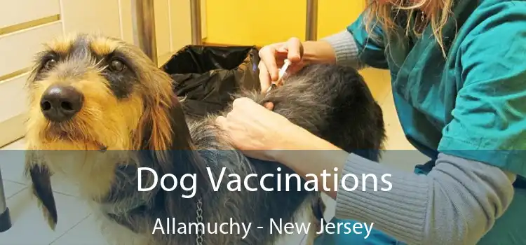 Dog Vaccinations Allamuchy - New Jersey