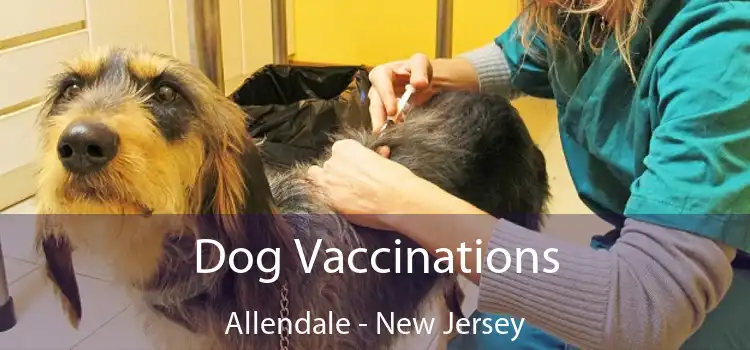 Dog Vaccinations Allendale - New Jersey