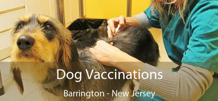 Dog Vaccinations Barrington - New Jersey