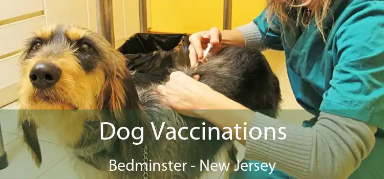 Dog Vaccinations Bedminster - New Jersey