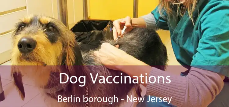 Dog Vaccinations Berlin borough - New Jersey