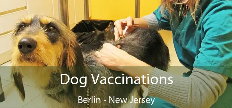 Dog Vaccinations Berlin - New Jersey