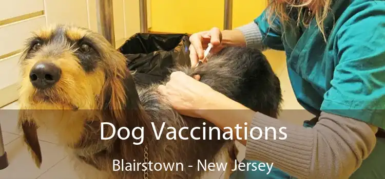 Dog Vaccinations Blairstown - New Jersey