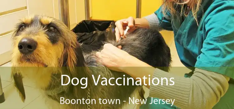 Dog Vaccinations Boonton town - New Jersey