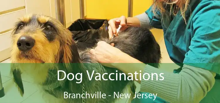 Dog Vaccinations Branchville - New Jersey