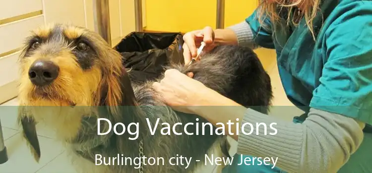 Dog Vaccinations Burlington city - New Jersey