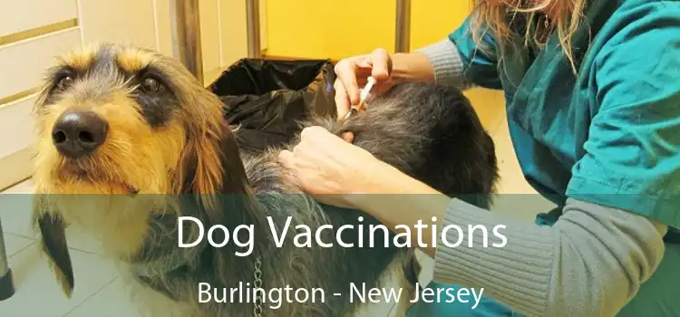 Dog Vaccinations Burlington - New Jersey