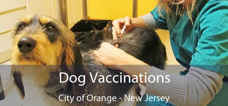 Dog Vaccinations City of Orange - New Jersey