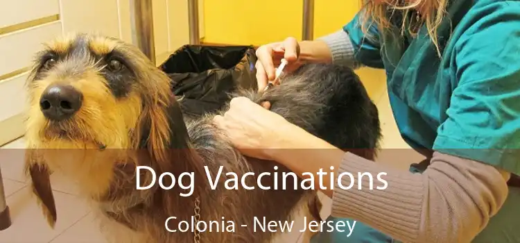 Dog Vaccinations Colonia - New Jersey