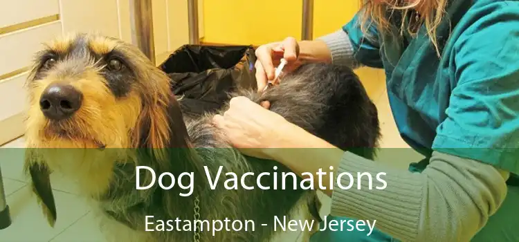 Dog Vaccinations Eastampton - New Jersey