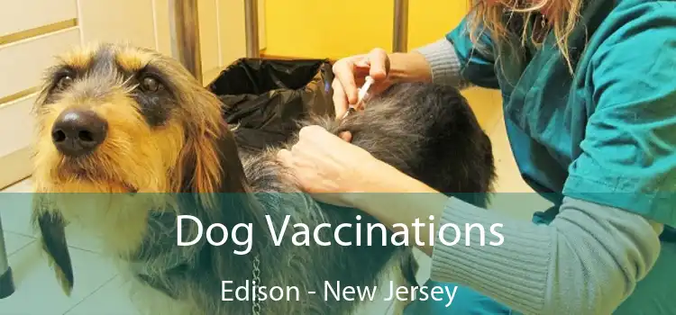 Dog Vaccinations Edison - New Jersey