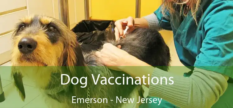 Dog Vaccinations Emerson - New Jersey