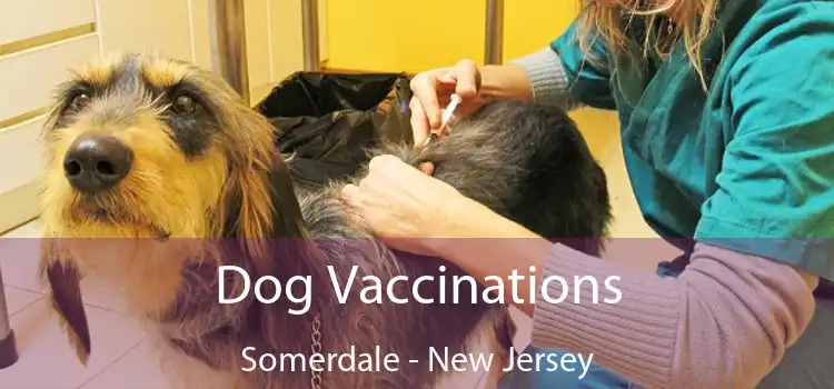 Dog Vaccinations Somerdale - New Jersey