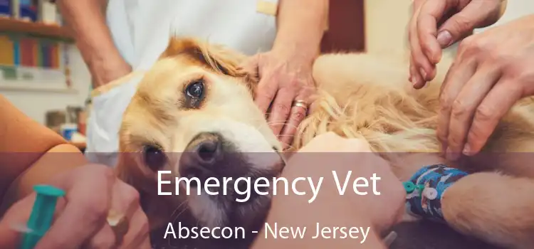 Emergency Vet Absecon - New Jersey