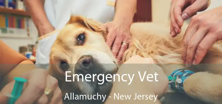 Emergency Vet Allamuchy - New Jersey