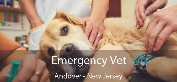 Emergency Vet Andover - New Jersey