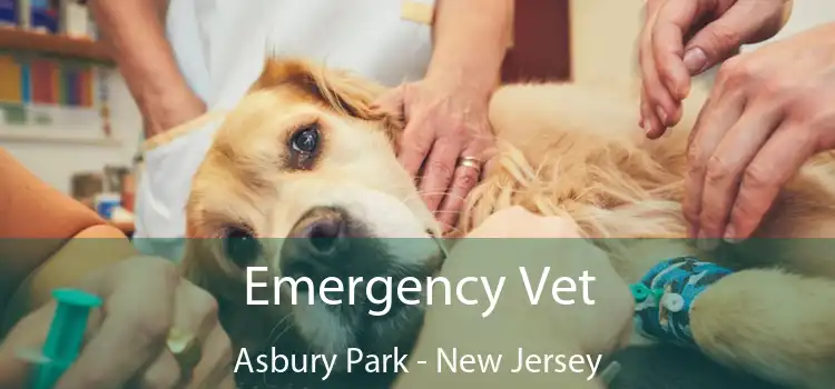 Emergency Vet Asbury Park - New Jersey