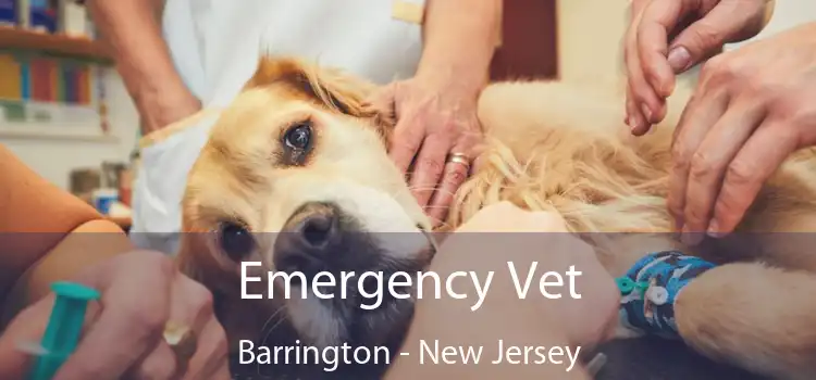 Emergency Vet Barrington - New Jersey