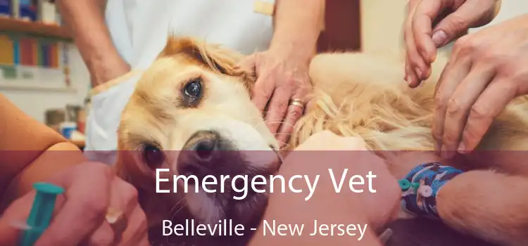 Emergency Vet Belleville - New Jersey