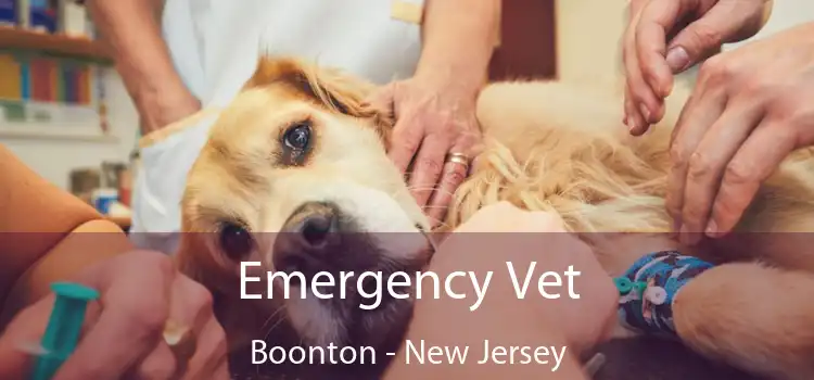 Emergency Vet Boonton - New Jersey