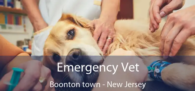 Emergency Vet Boonton town - New Jersey