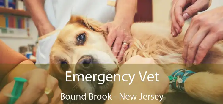 Emergency Vet Bound Brook - New Jersey