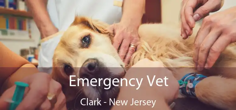 Emergency Vet Clark - New Jersey