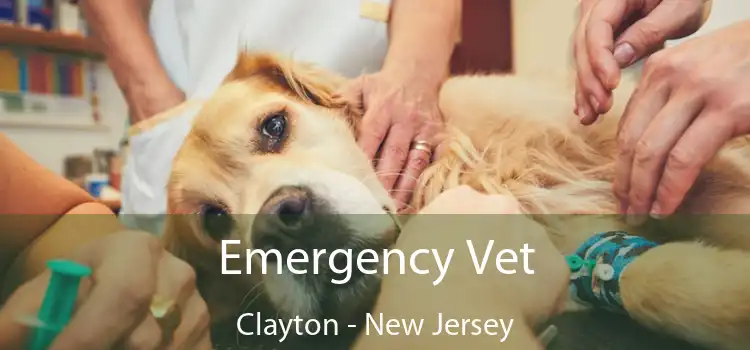 Emergency Vet Clayton - New Jersey