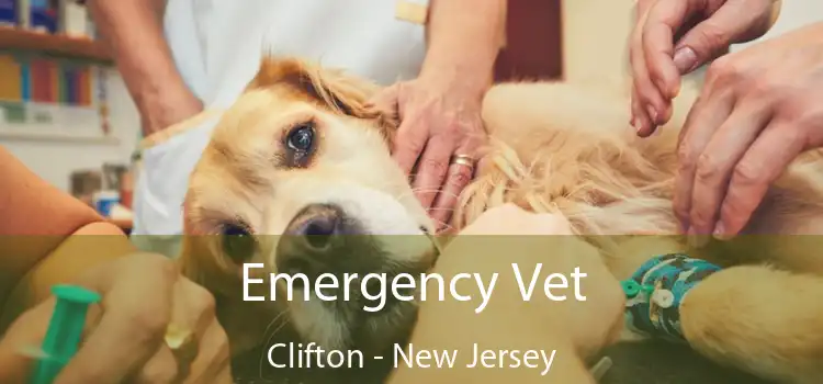 Emergency Vet Clifton - New Jersey