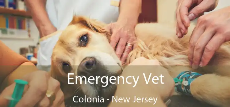 Emergency Vet Colonia - New Jersey