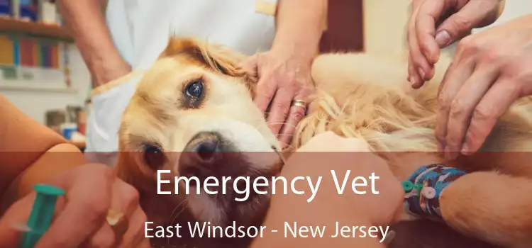 Emergency Vet East Windsor - New Jersey