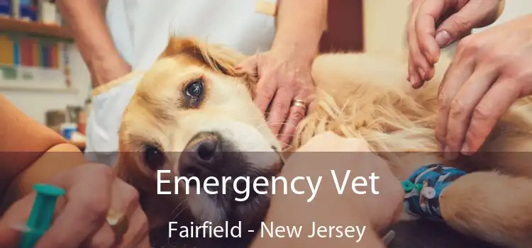 Emergency Vet Fairfield - New Jersey