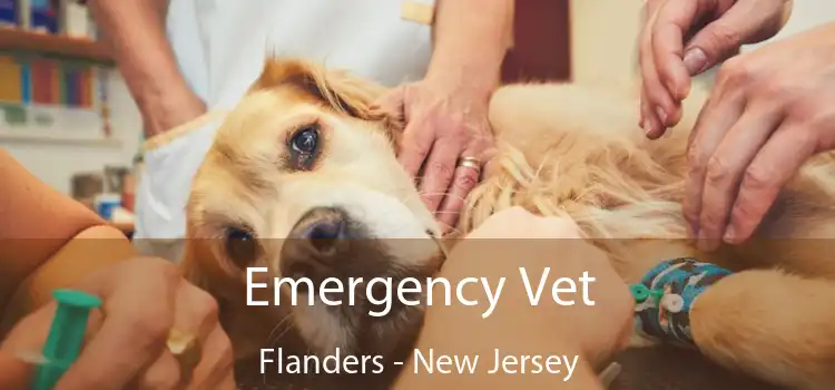 Emergency Vet Flanders - New Jersey