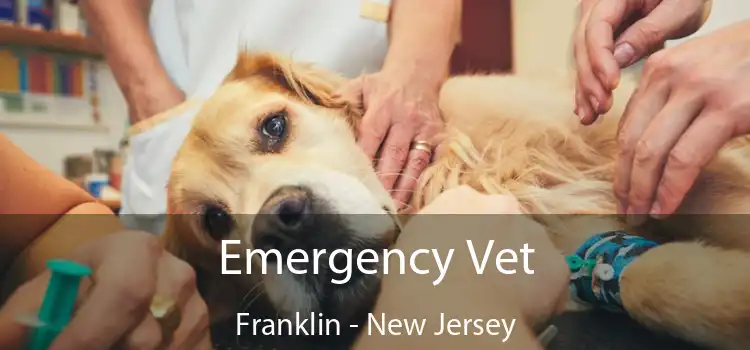 Emergency Vet Franklin - New Jersey