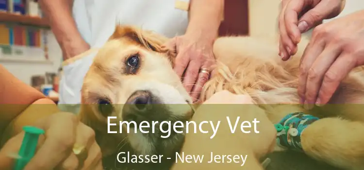 Emergency Vet Glasser - New Jersey