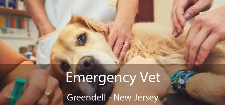 Emergency Vet Greendell - New Jersey