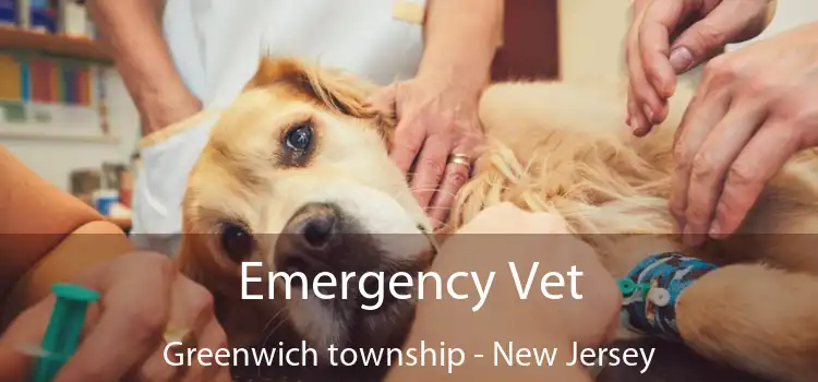 Emergency Vet Greenwich township - New Jersey