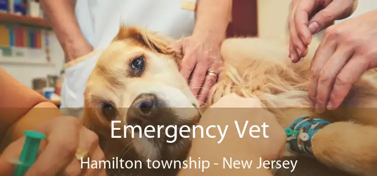 Emergency Vet Hamilton township - New Jersey