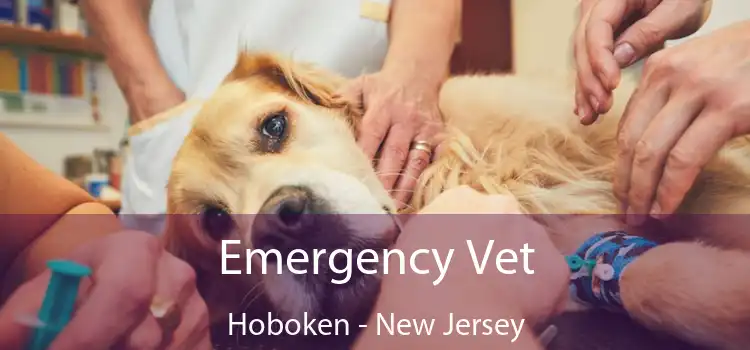 Emergency Vet Hoboken - New Jersey