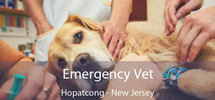 Emergency Vet Hopatcong - New Jersey