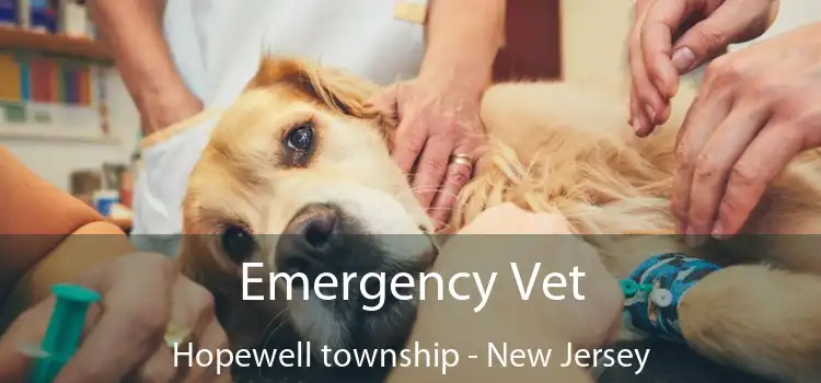 Emergency Vet Hopewell township - New Jersey